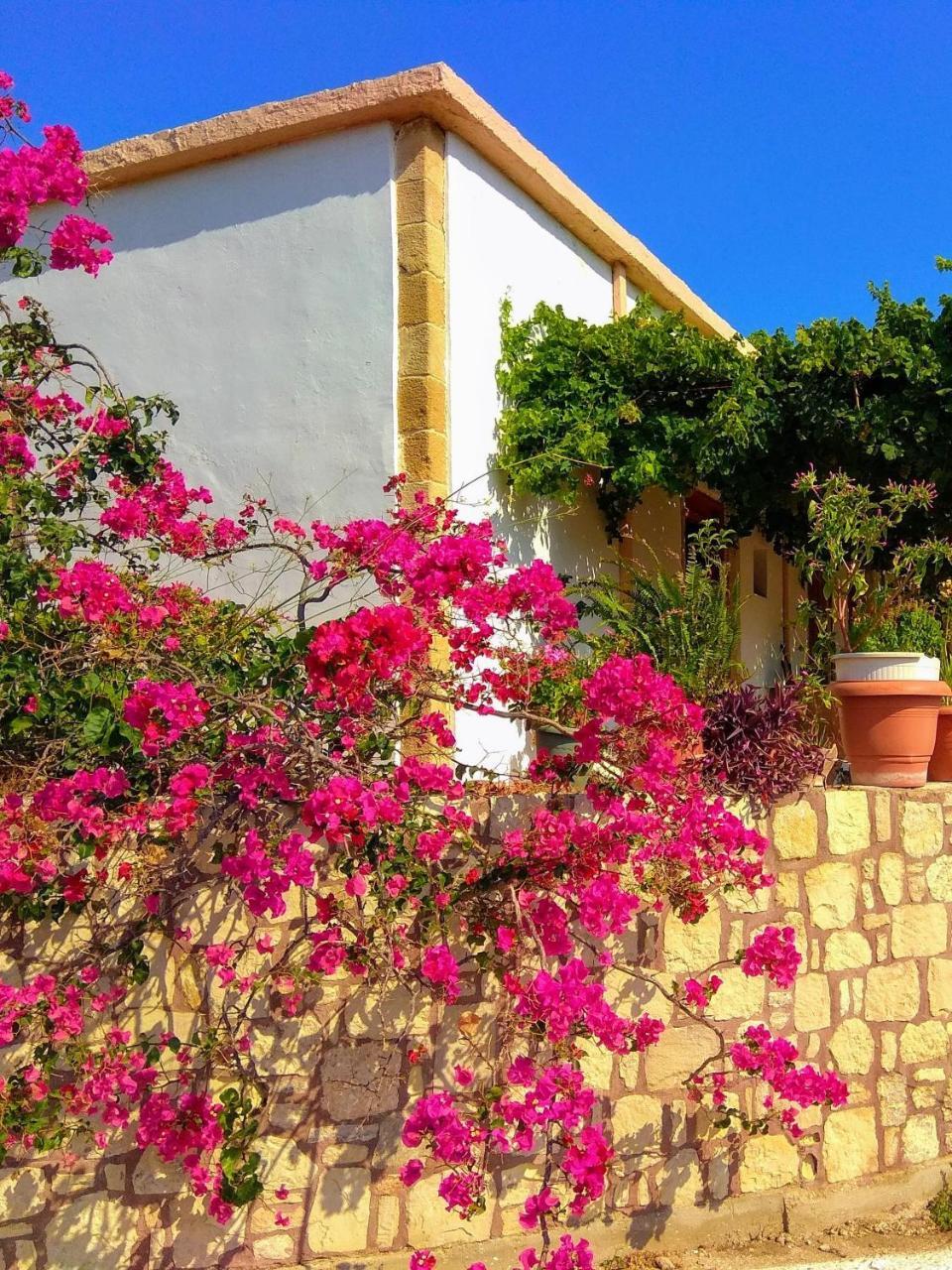 Falasarna Lardas House Gramvousá المظهر الخارجي الصورة